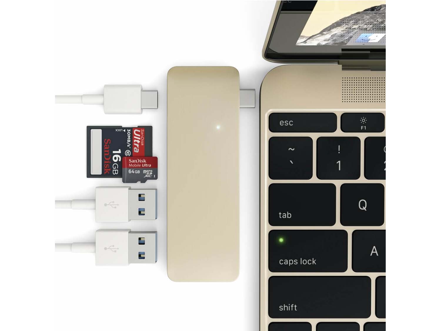 Satechi USB-C Pass Through USB Hub, Gold