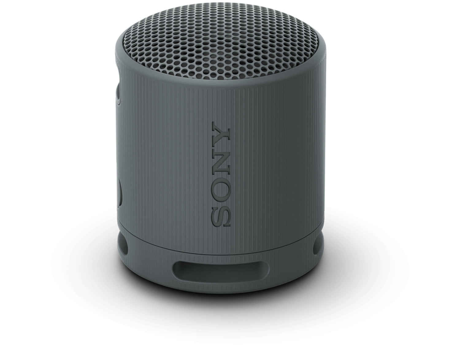 Sony SRS-XB100, Black
