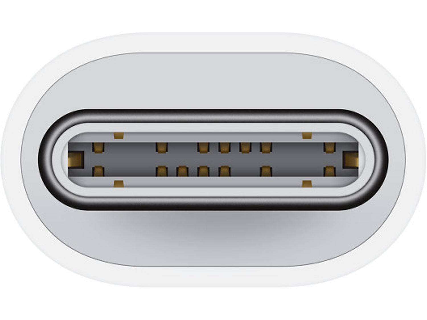 Apple USB-C to Lightning Adapter