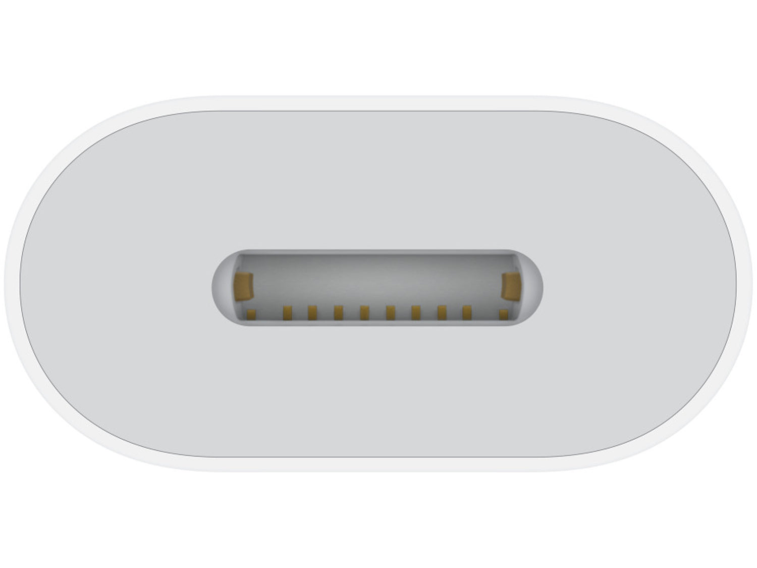 Apple USB-C to Lightning Adapter