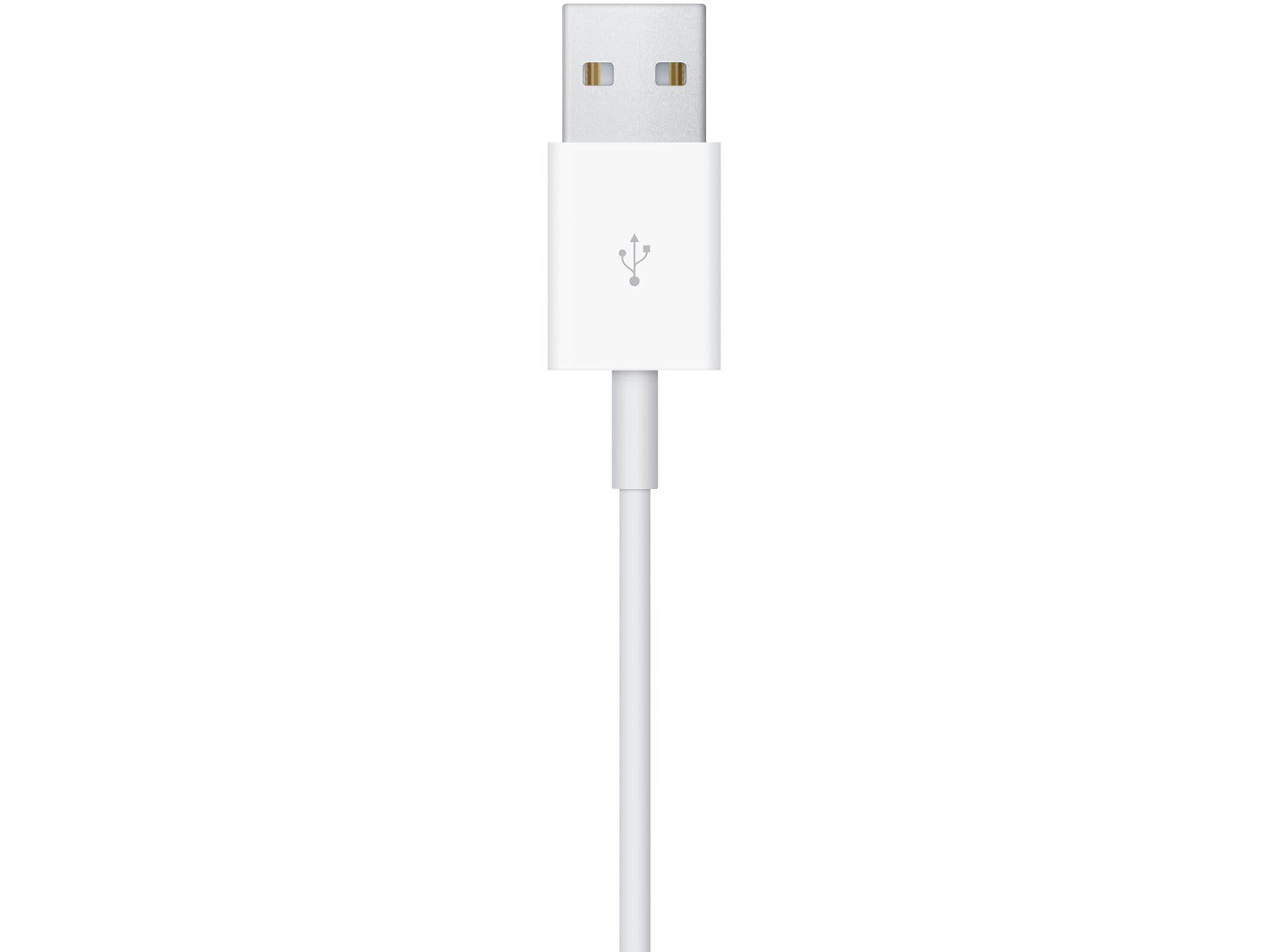 Apple Watch Magnetic Charging Cable (1 m)