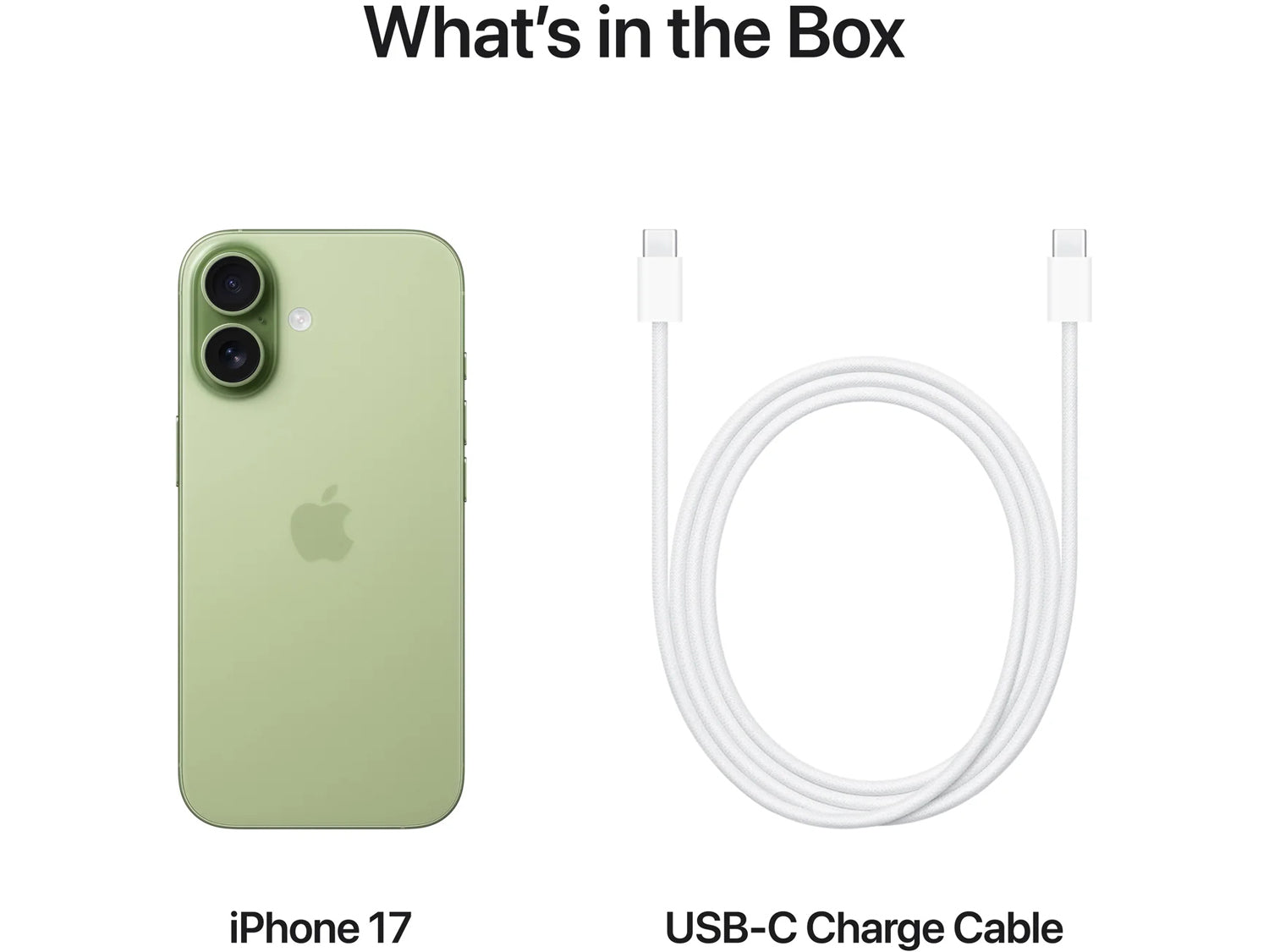 Apple iPhone 17 - 8GB RAM / 256GB, Sage