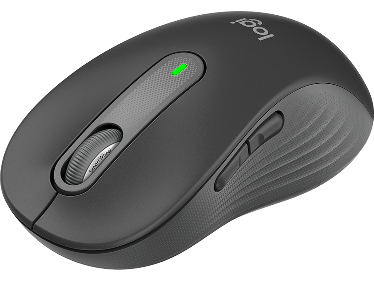 Logitech Signature M650 for Business - Graphite Large